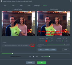 How to Add Subtitles/Captions to Video File