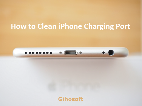 Perfectly Clean iPhone Charging Port