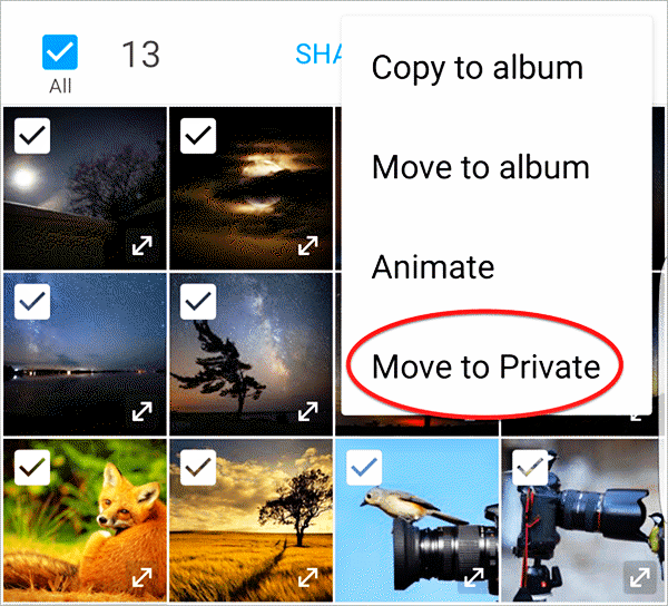 Move your photos into the Private mode.