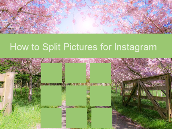 How to Split Pictures on Instagram to Make a Giant Square
