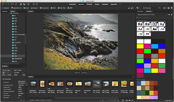 Adobe Bridge – Best Photo Organizing Software for Advanced Users