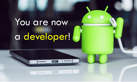 What are the Android Developer Options?