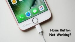 What If iPhone iPad Home Button Not Working? Here We Fixed