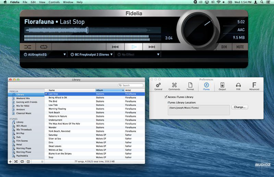 Fidelia is one of the top iTunes Alternatives.