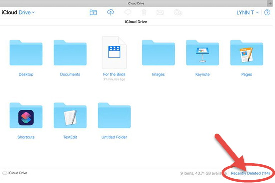 How to Get Back Deleted Files from iCloud Drive Through a web browser