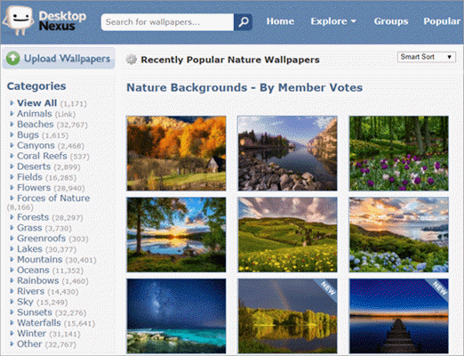 Desktop Nexus is one of the underrated desktop wallpaper websites.