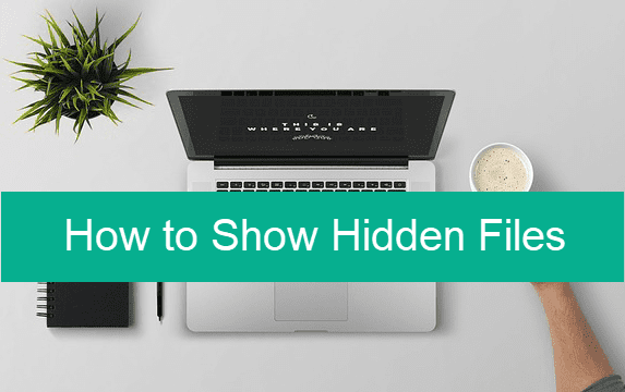 Show Hidden Files