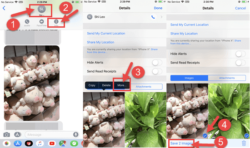 How to Save Multiple Photos from iMessage on iPhone At Once
